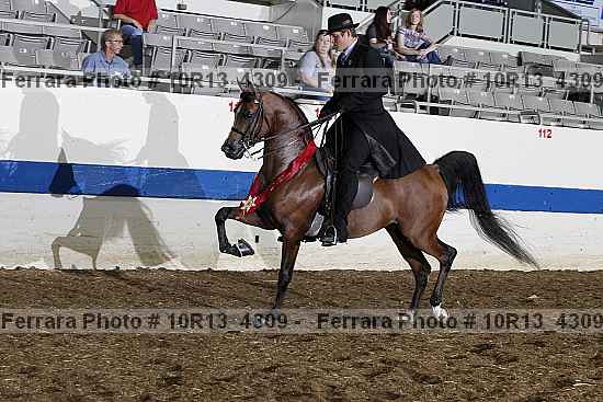 Proof Number 10r13_4309