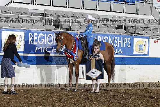 Proof Number 10r13_4334