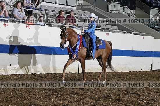 Proof Number 10r13_4338