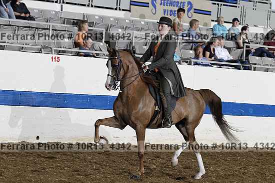Proof Number 10r13_4342