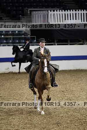 Proof Number 10r13_4357