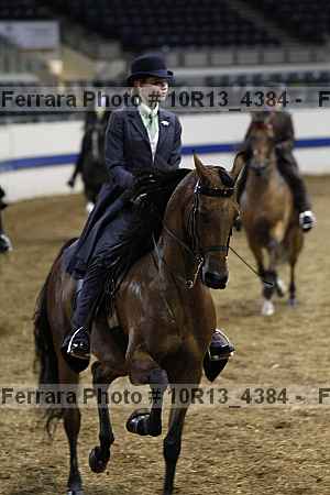 Proof Number 10r13_4384