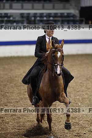 Proof Number 10r13_4388