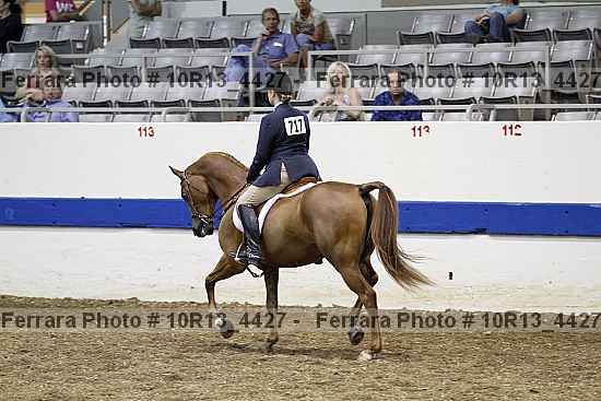Proof Number 10r13_4427