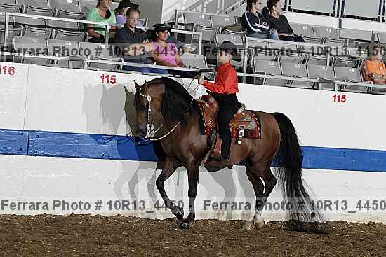 Proof Number 10r13_4450