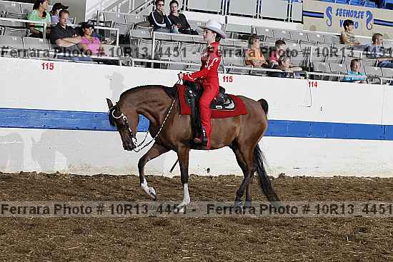 Proof Number 10r13_4451