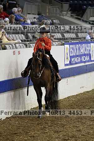 Proof Number 10r13_4453