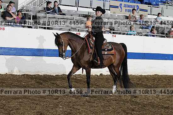 Proof Number 10r13_4459