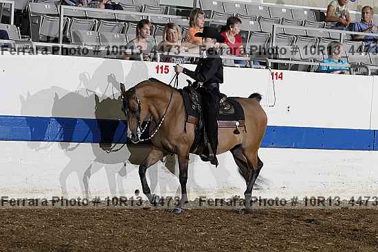 Proof Number 10r13_4473
