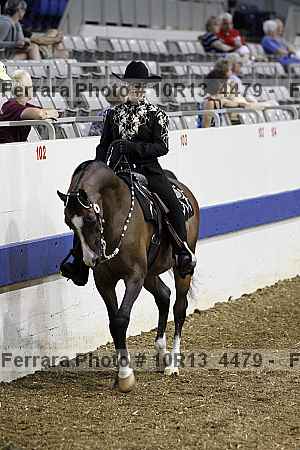 Proof Number 10r13_4479
