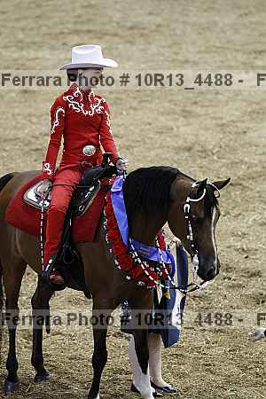 Proof Number 10r13_4488