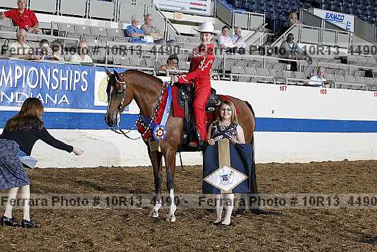 Proof Number 10r13_4490
