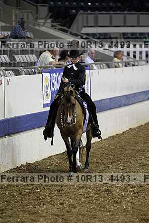 Proof Number 10r13_4493