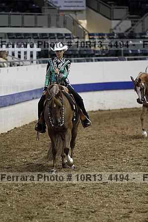 Proof Number 10r13_4494