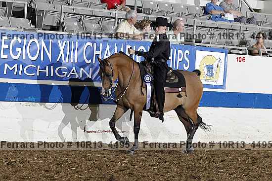 Proof Number 10r13_4495