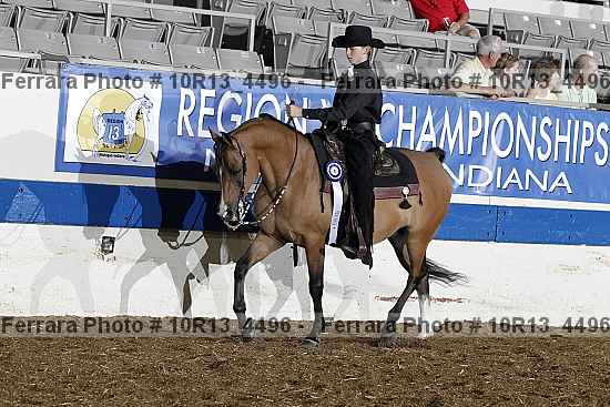 Proof Number 10r13_4496