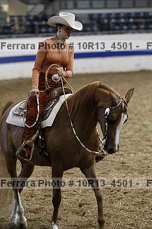 Proof Number 10r13_4501