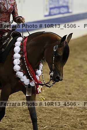 Proof Number 10r13_4506