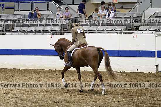 Proof Number 10r13_4514