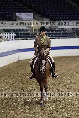Proof Number 10r13_4529