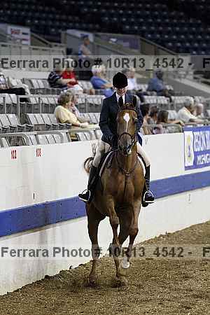 Proof Number 10r13_4542
