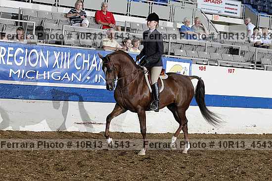 Proof Number 10r13_4543