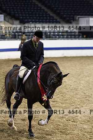 Proof Number 10r13_4544