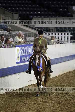 Proof Number 10r13_4546