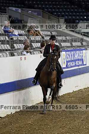 Proof Number 10r13_4605