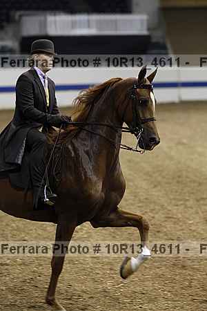 Proof Number 10r13_4611