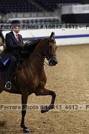 Proof Number 10r13_4612