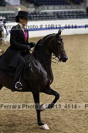 Proof Number 10r13_4614