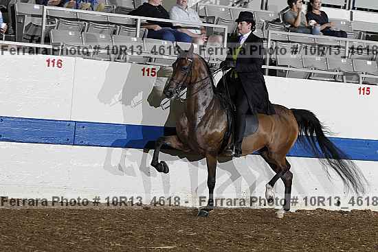 Proof Number 10r13_4618