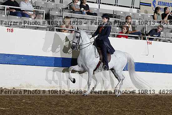Proof Number 10r13_4628