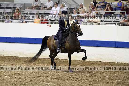 Proof Number 10r13_4641