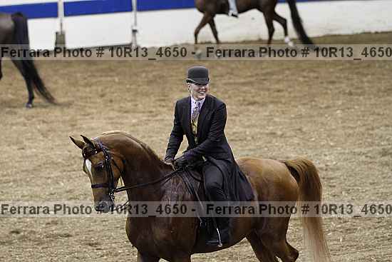 Proof Number 10r13_4650