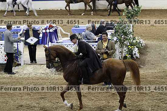 Proof Number 10r13_4651