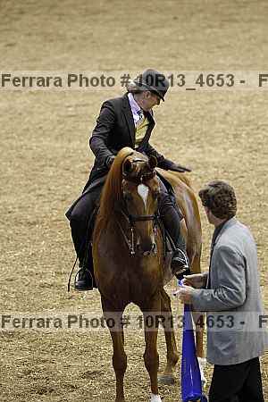 Proof Number 10r13_4653