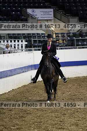 Proof Number 10r13_4659