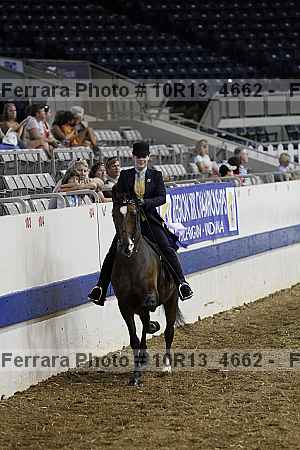 Proof Number 10r13_4662