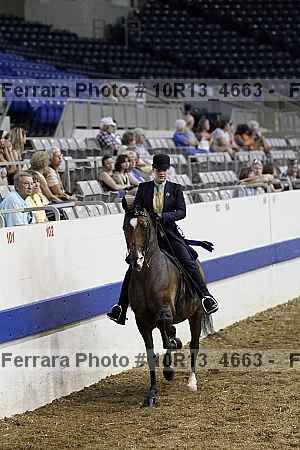 Proof Number 10r13_4663