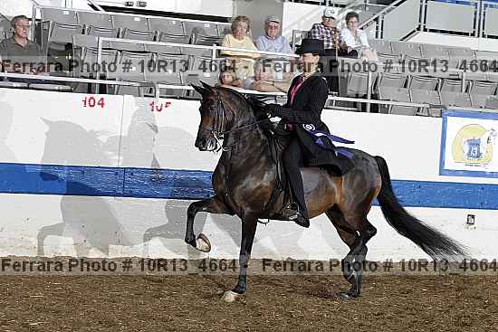 Proof Number 10r13_4664