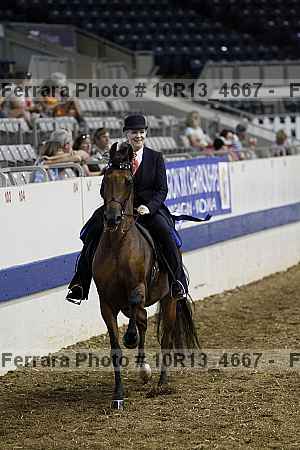 Proof Number 10r13_4667