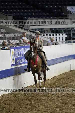 Proof Number 10r13_4670