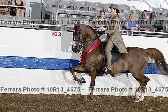 Proof Number 10r13_4675