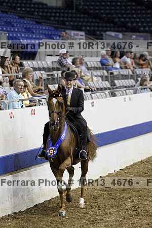 Proof Number 10r13_4676