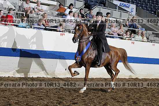 Proof Number 10r13_4682