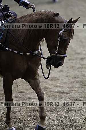 Proof Number 10r13_4687