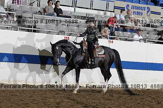 Proof Number 10r13_4688
