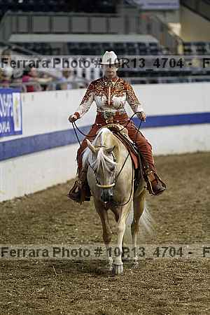 Proof Number 10r13_4704